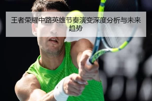 王者荣耀中路英雄节奏演变深度分析与未来趋势